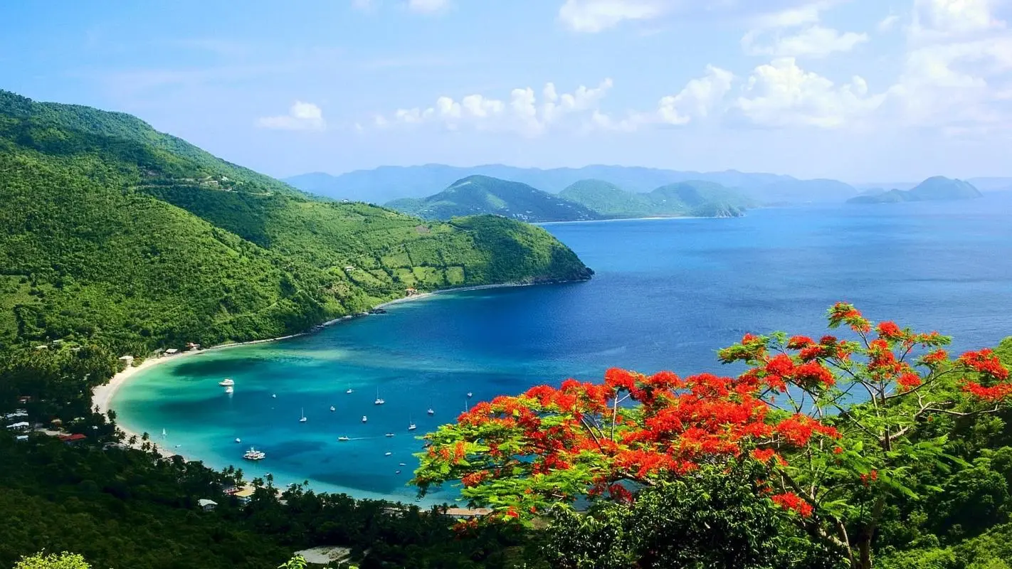 信息化高端